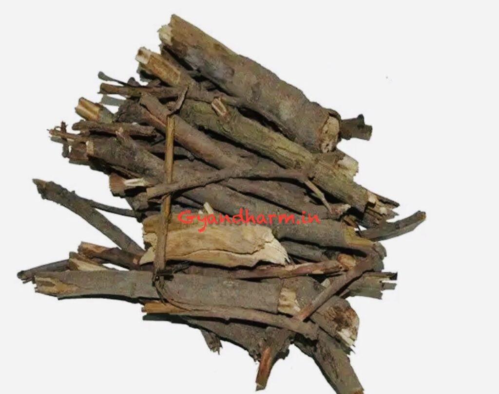 हवन करते समय कौनसी लकड़ी उपयोग करनी चाहिए?